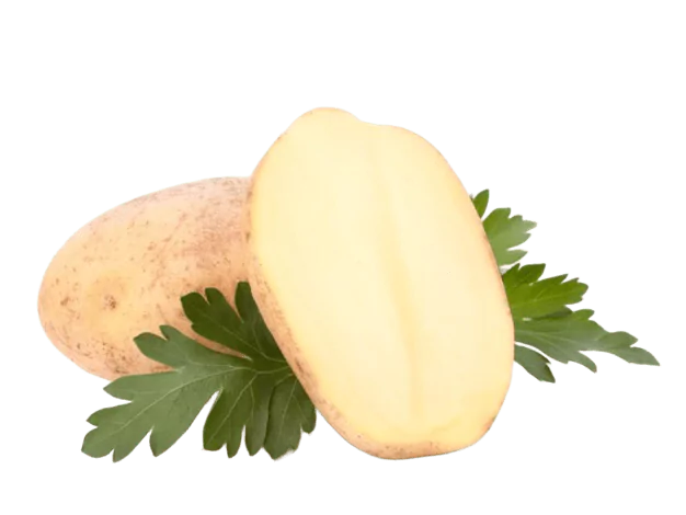 монограма
